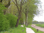 Munsterhoekweg